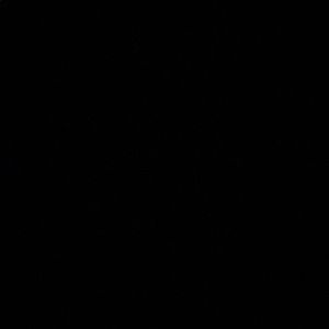 Meet your Posher, Marta